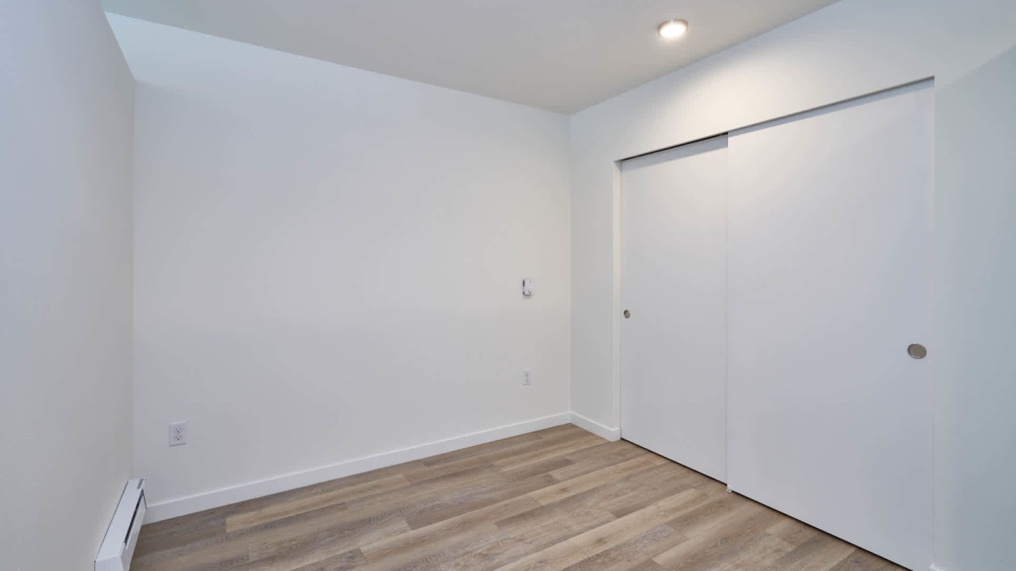 Springline Image 19