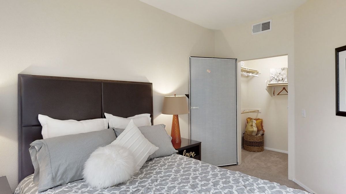 Acclaim Image 7