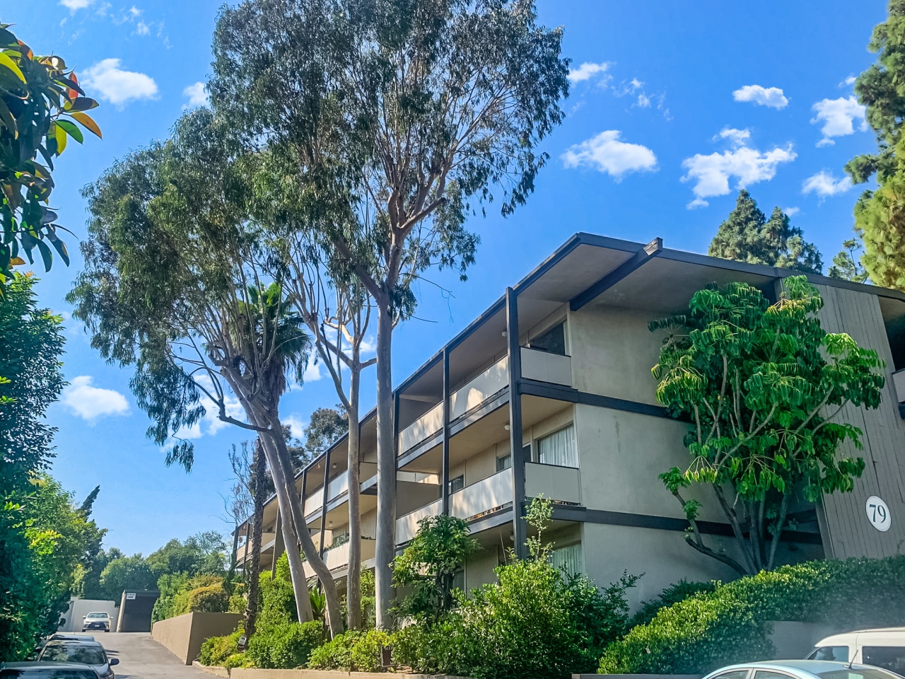 Annandale Terrace Image 18