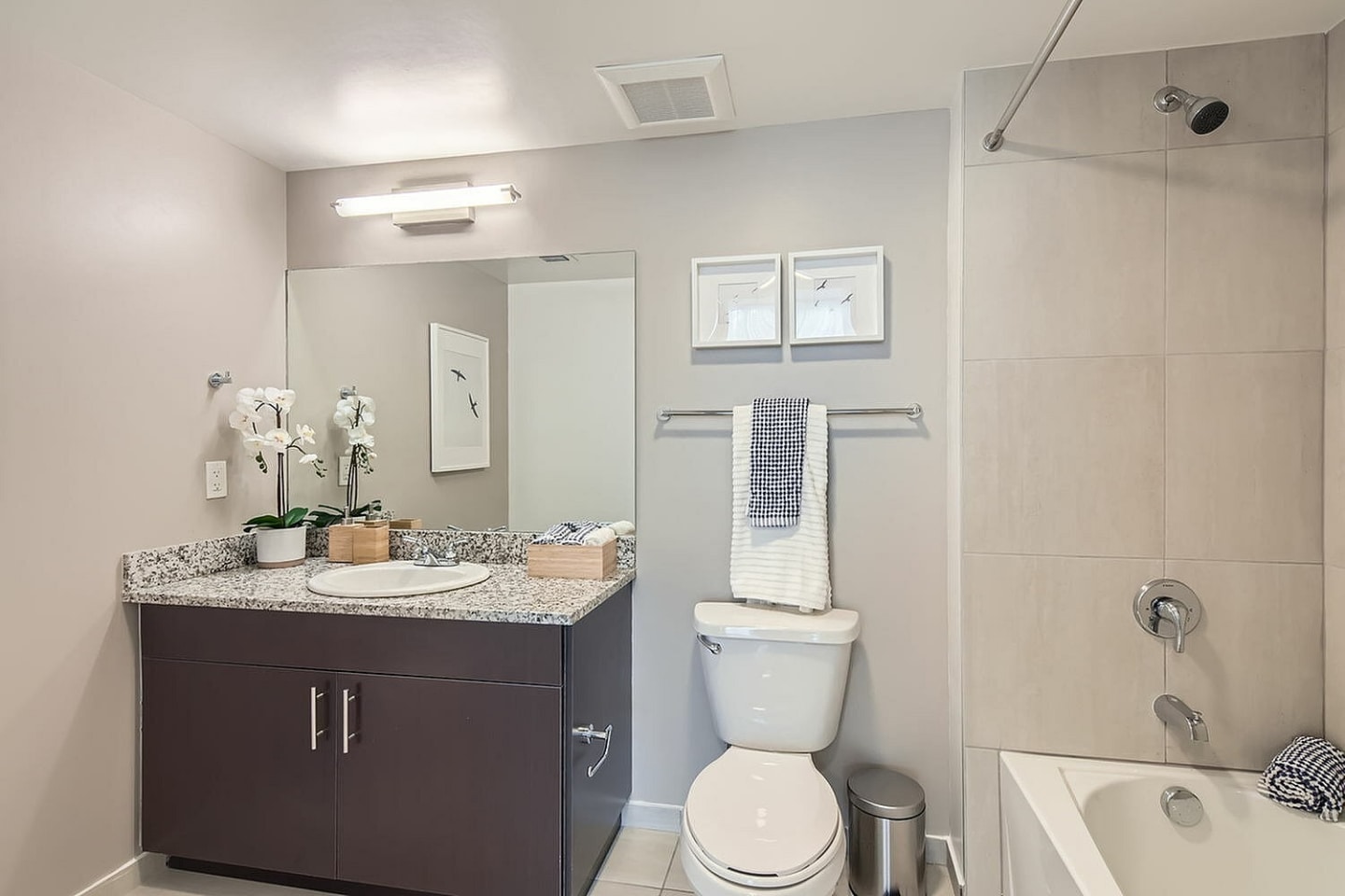 Amelia Apartments Image 15