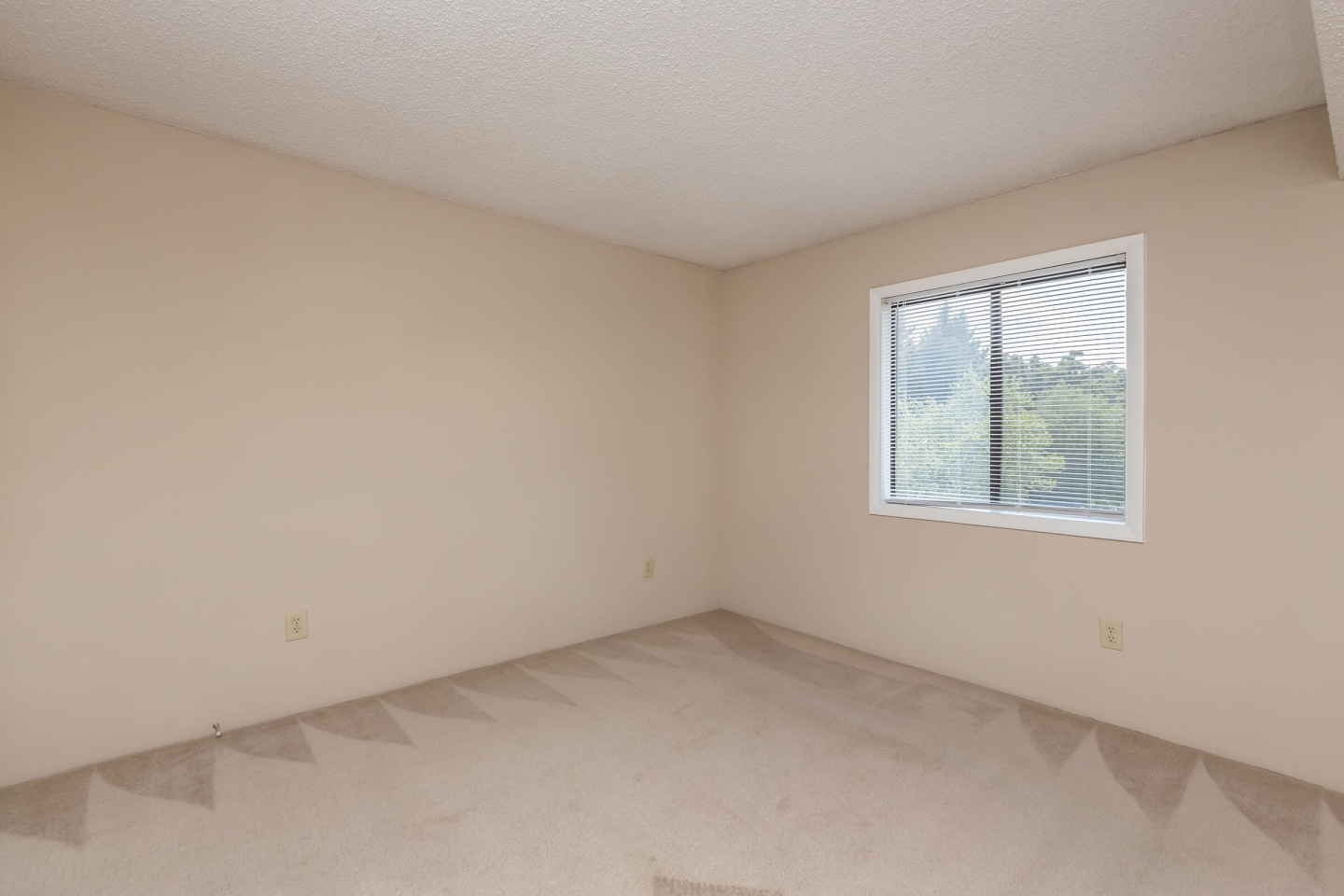 Lake Brandt Apartments Image 10