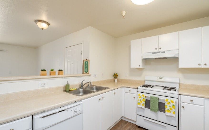 Twin Palm Apartments Image 17