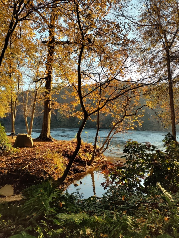 Walton on the Chattahoochee Image 61