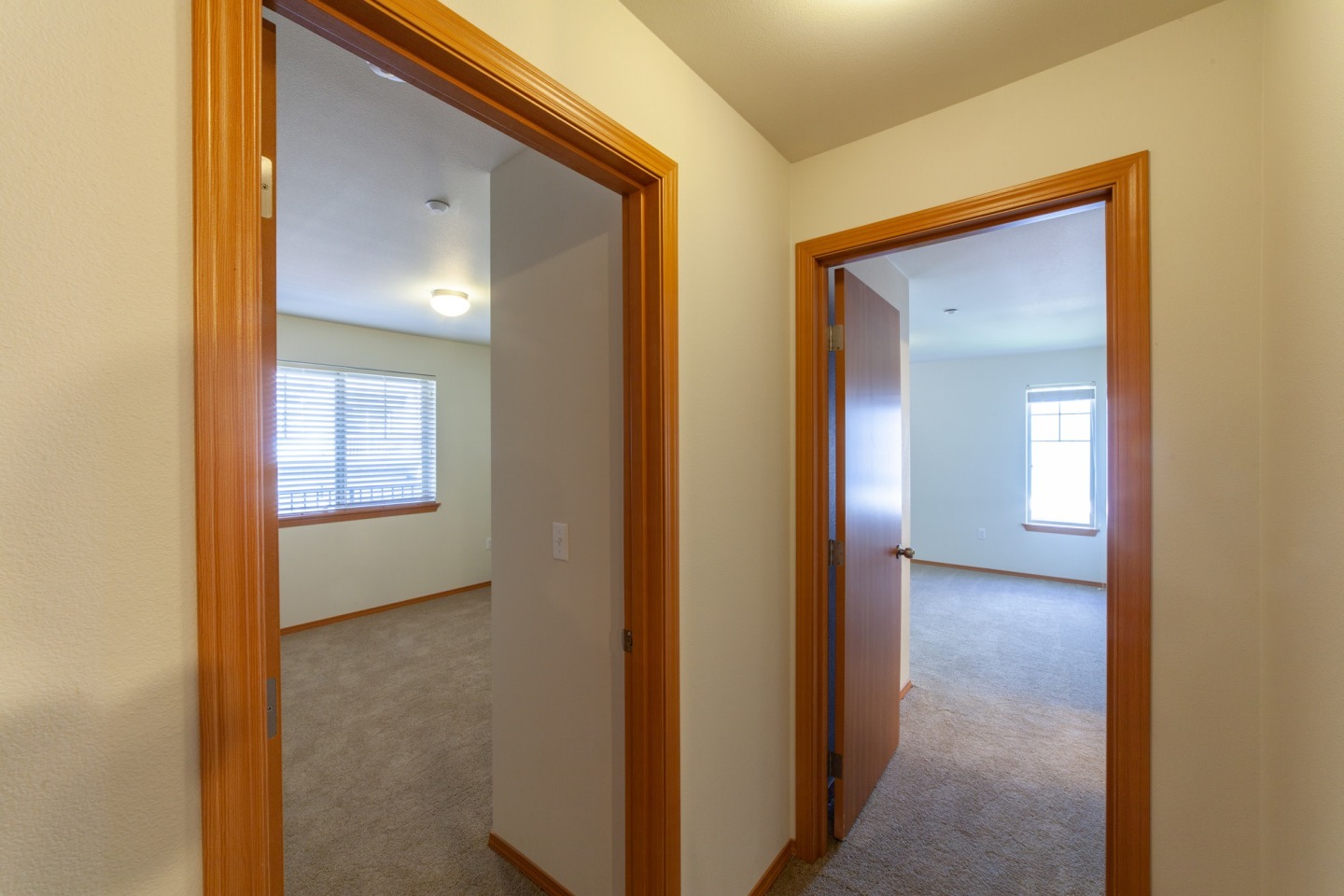 Renwood Image 32