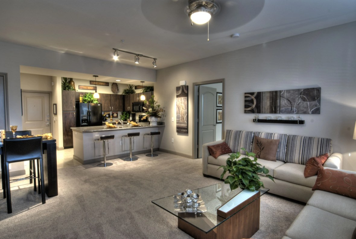 North Post Oaks Lofts Image 6