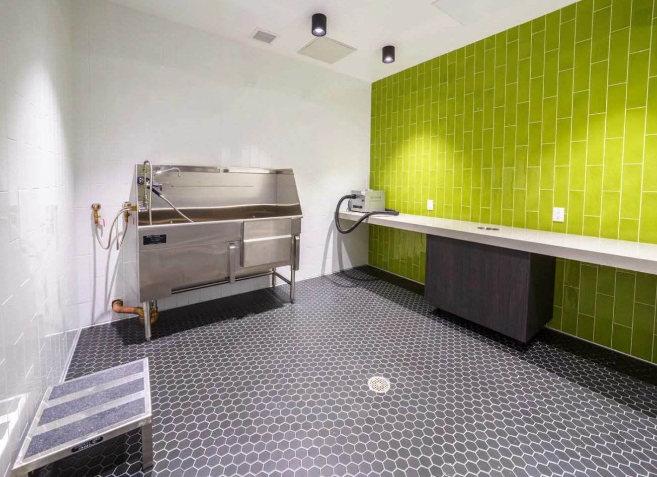 NoMA Apartments Image 13