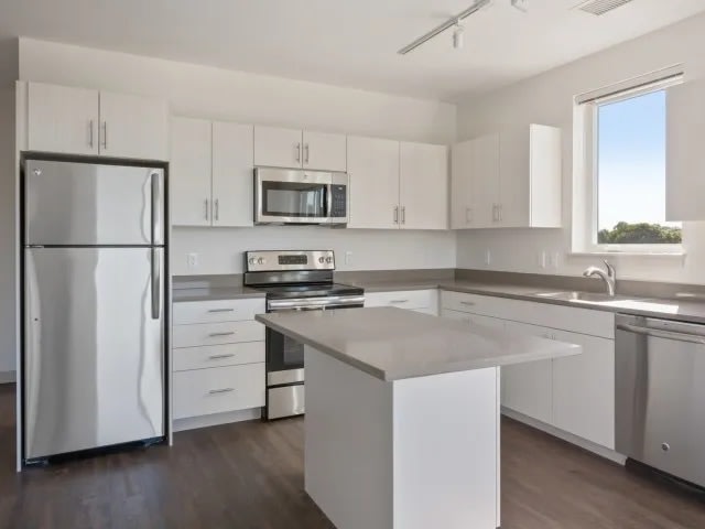 Link 480 Image 1
