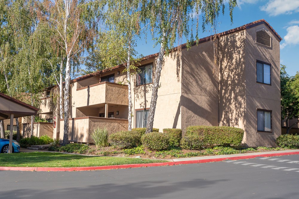 Mission Sierra Image 7