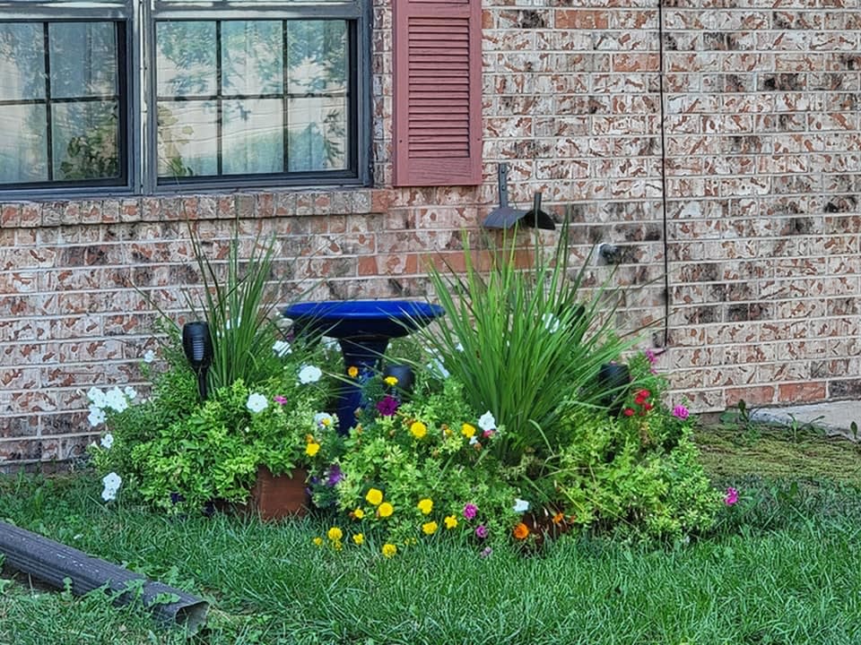 Maple Gardens Village Image 26