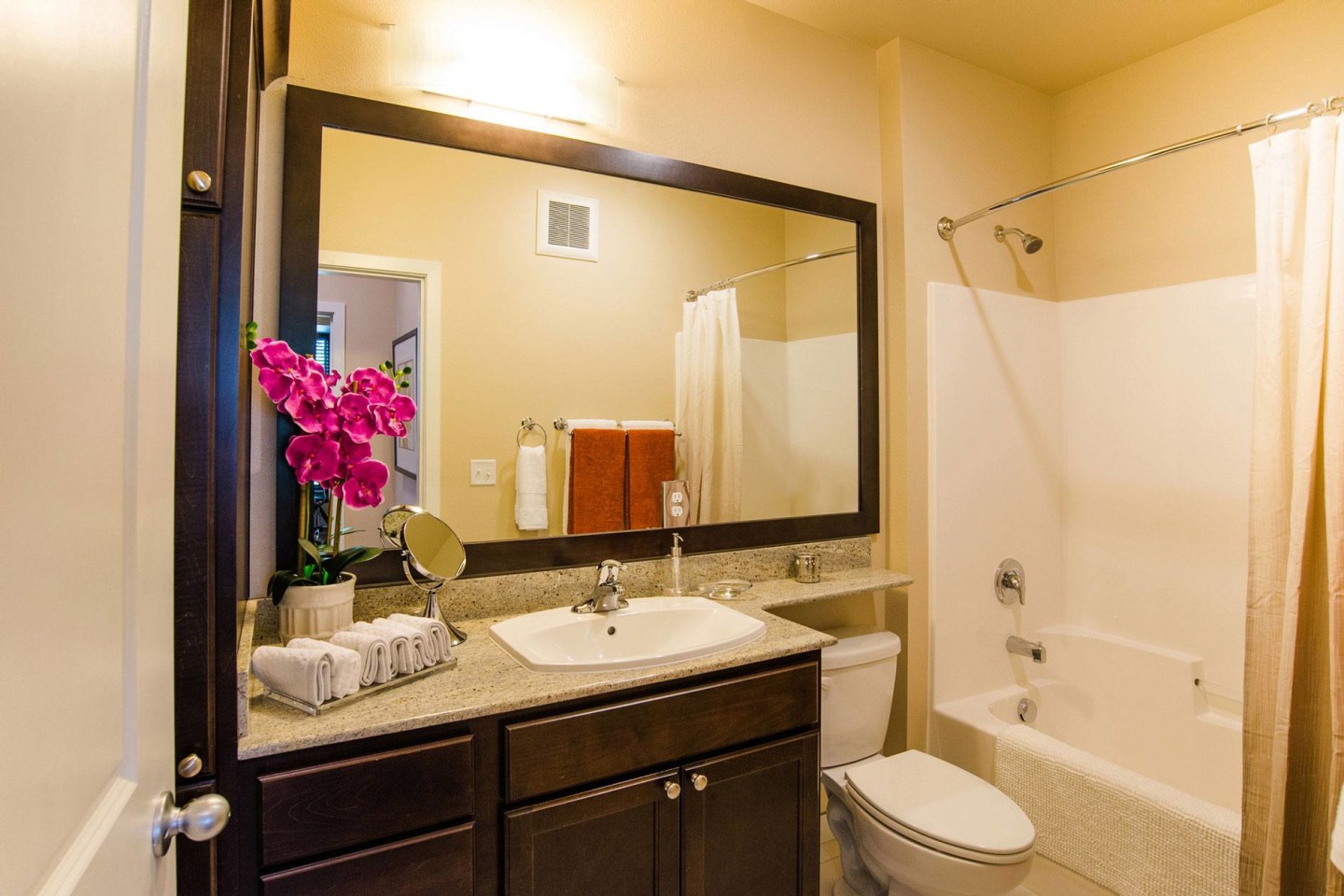 Siena Apartment Homes Image 6