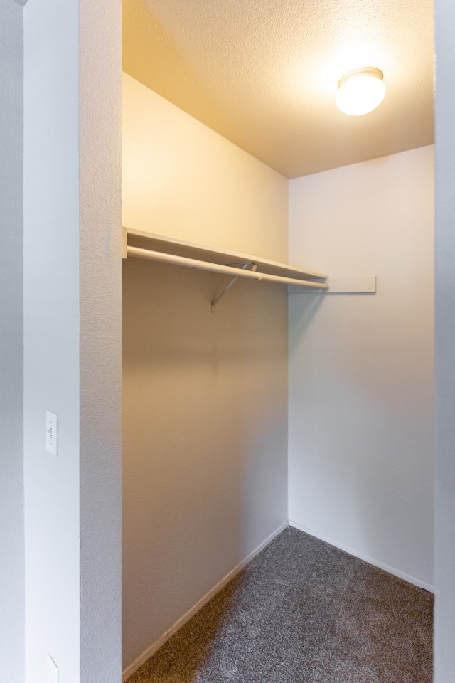 Pine Ridge Apartment Homes Image 1