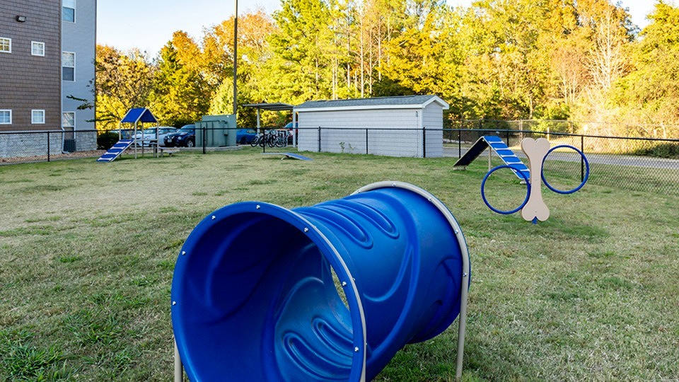 The Hangout - Student Housing Image 18