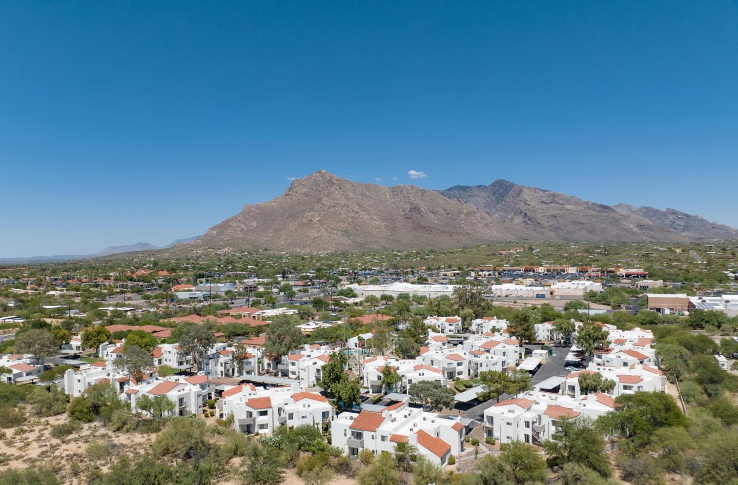 Cortland North Tucson Image 29