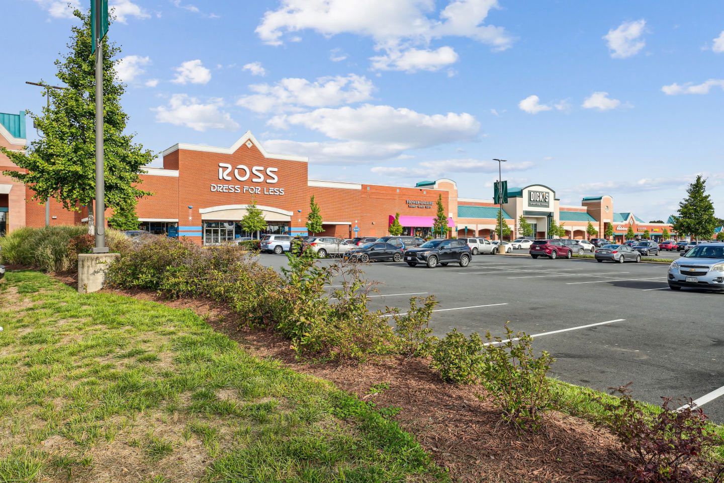 Elme Manassas Image 52