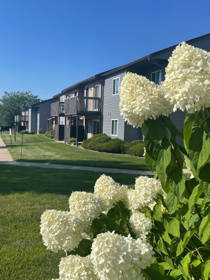 Covington Square on Vale Park Image 16