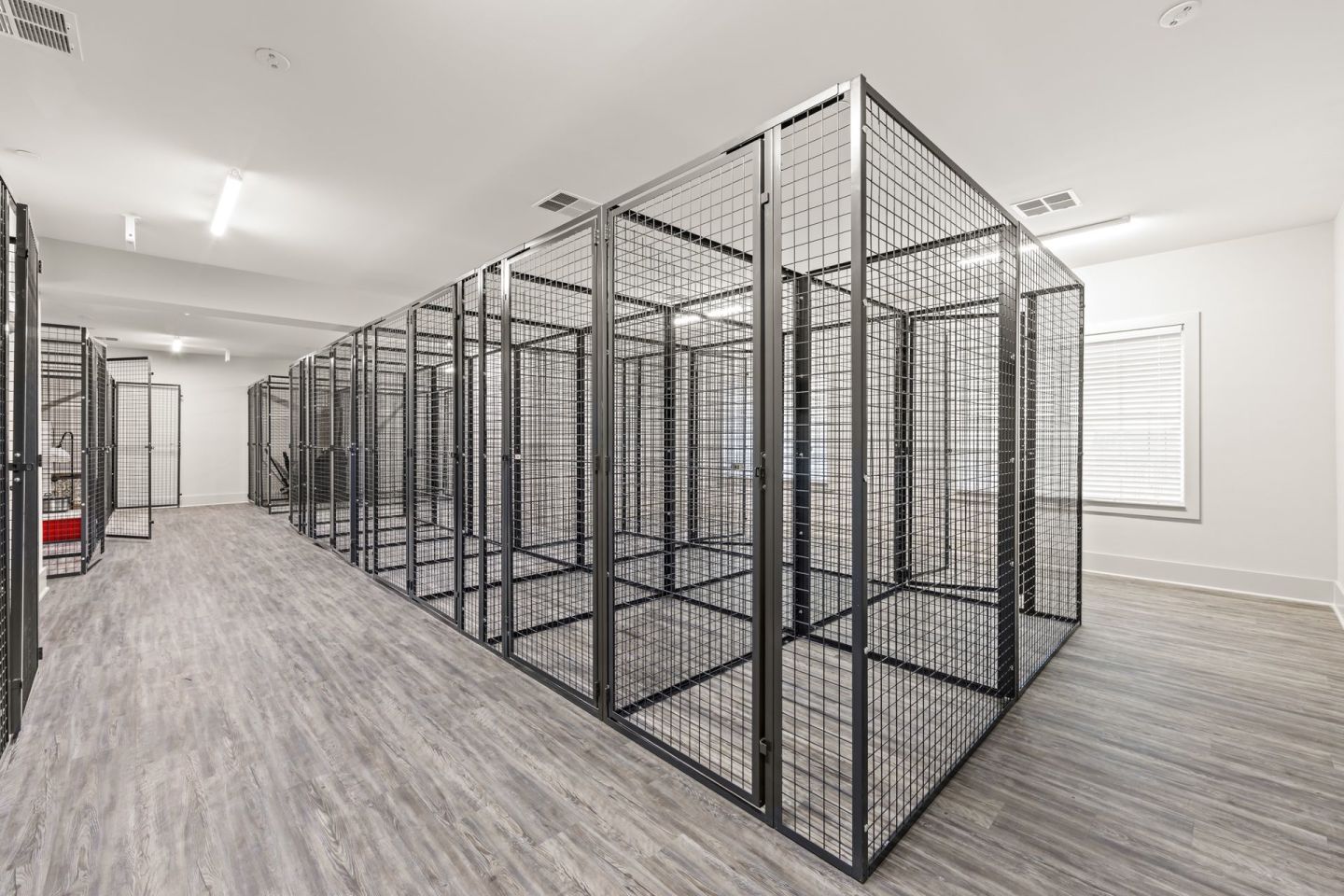 The Wentworth Image 14