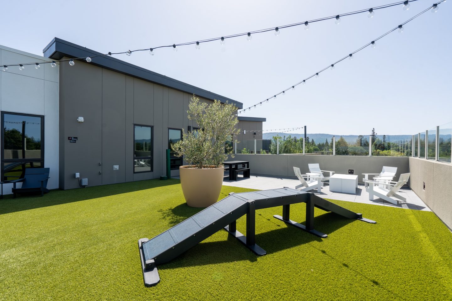 MV Apartments Image 24