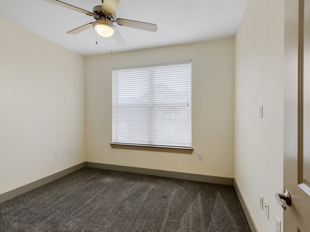 McKinney Pointe Image 11