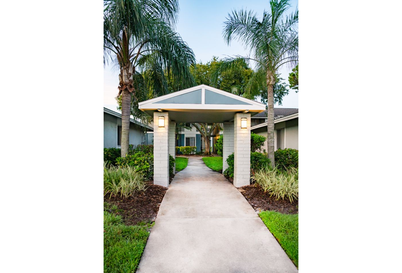 The Palms at Countryside Apartments Image 20