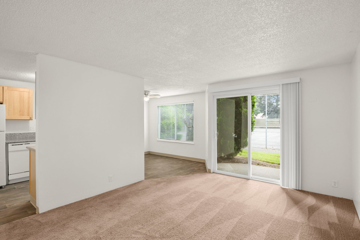 Centennial Image 30
