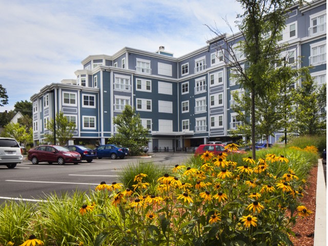 Wellington Parkside Image 13