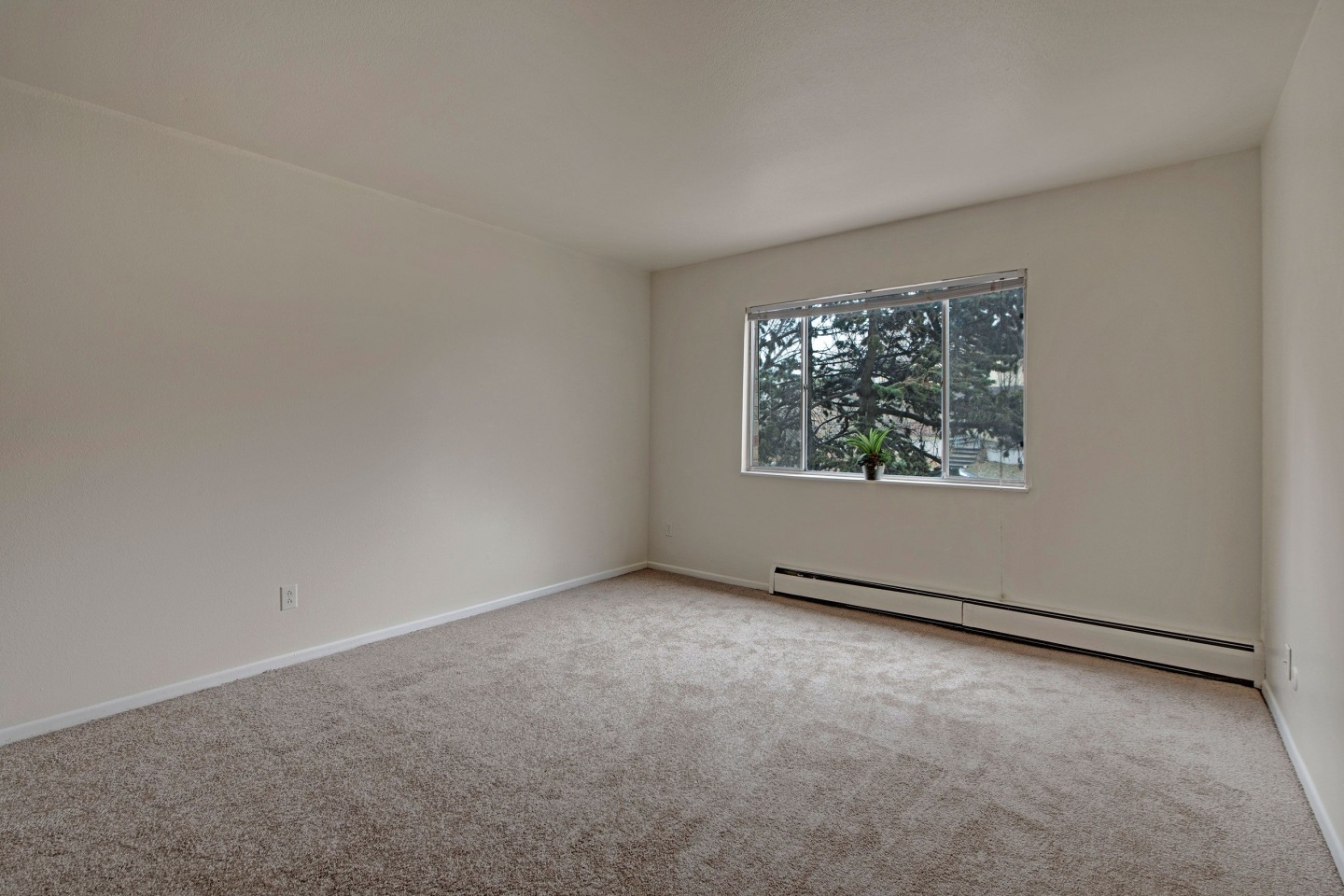 Hyde Park Apartments Image 14