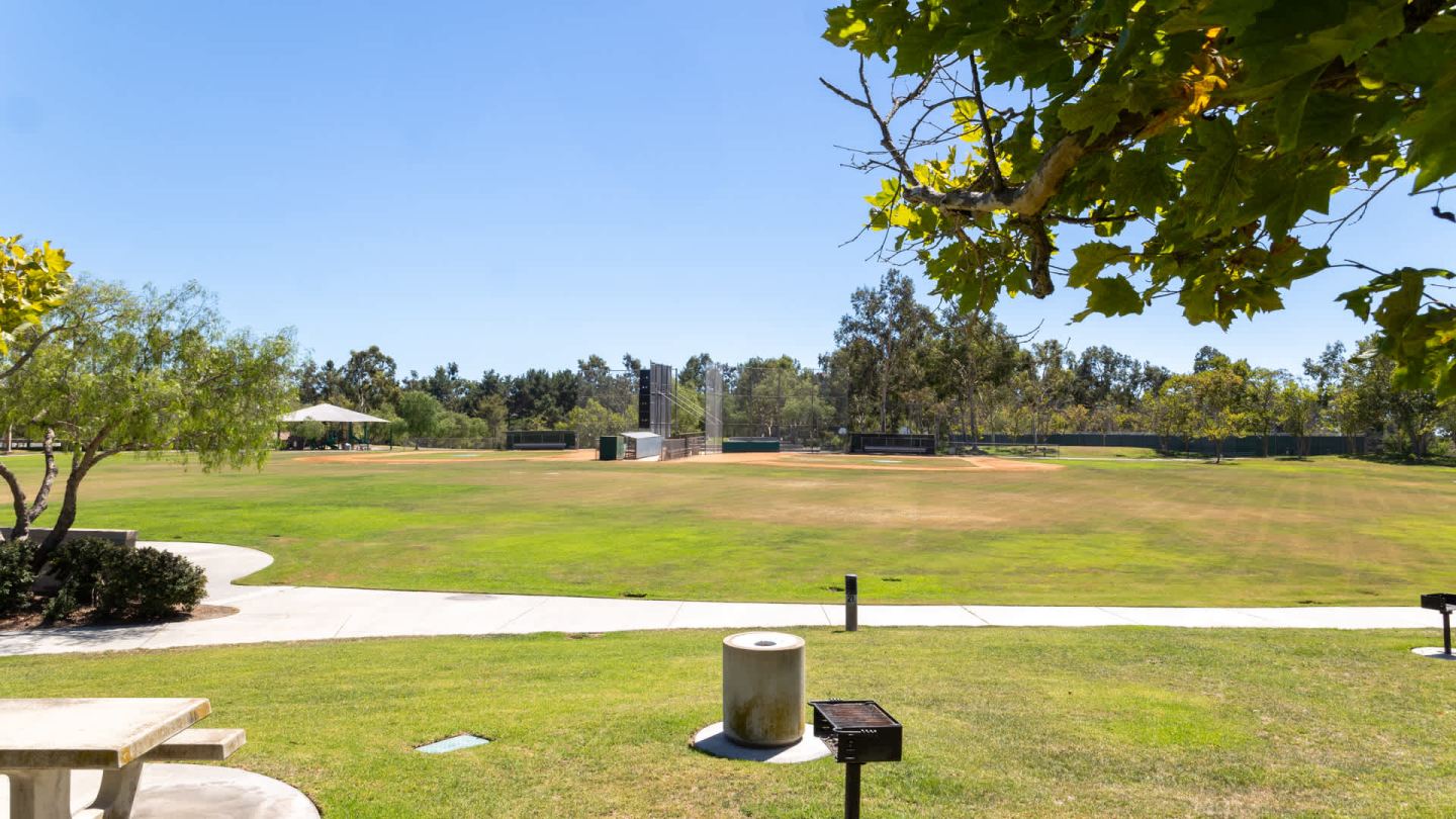 Skyview Image 2