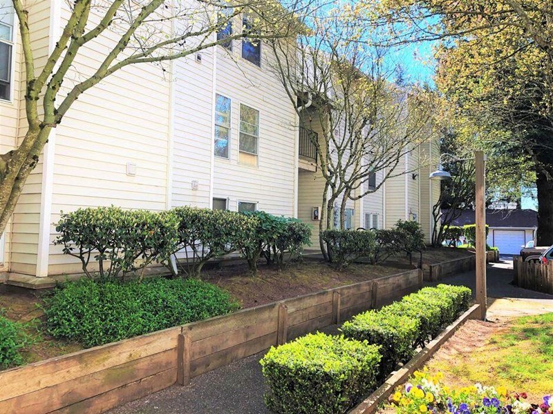 FarissWood Image 21