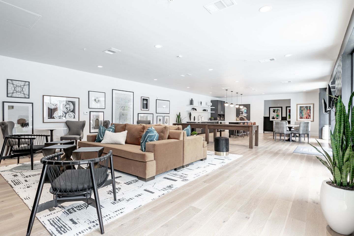 Muse Apartments Image 2