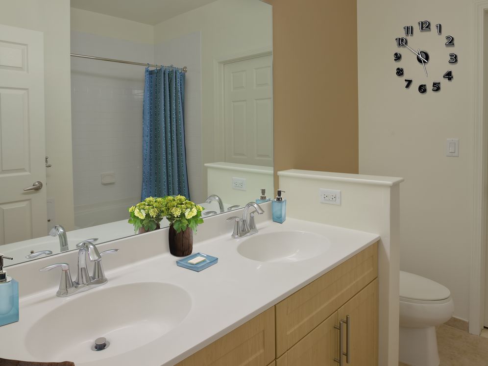 Avalon White Plains Image 7