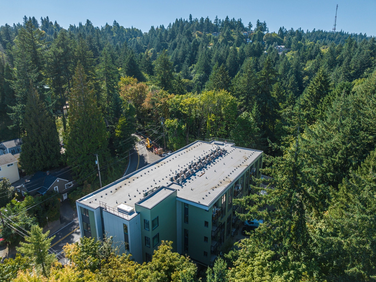 The Woods on Marquam Hill Image 9