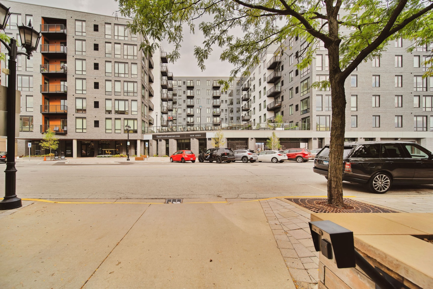 The Fynn Image 79