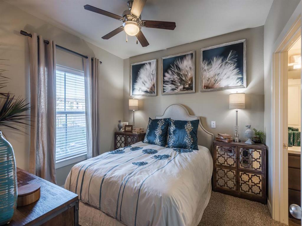 Century Palm Bluff Image 32