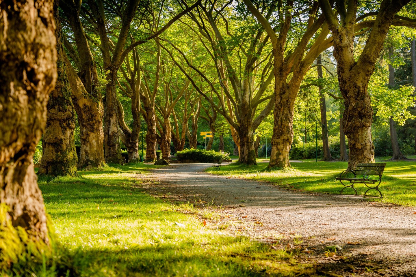 The Grove at Wilcrest Image 35