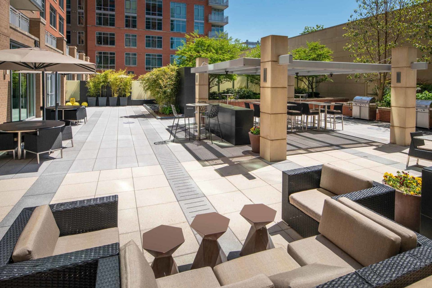 The Avant at Reston Town Center Image 14