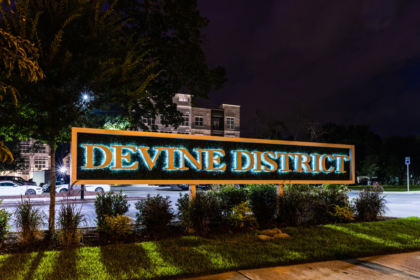 Devine District Image 6