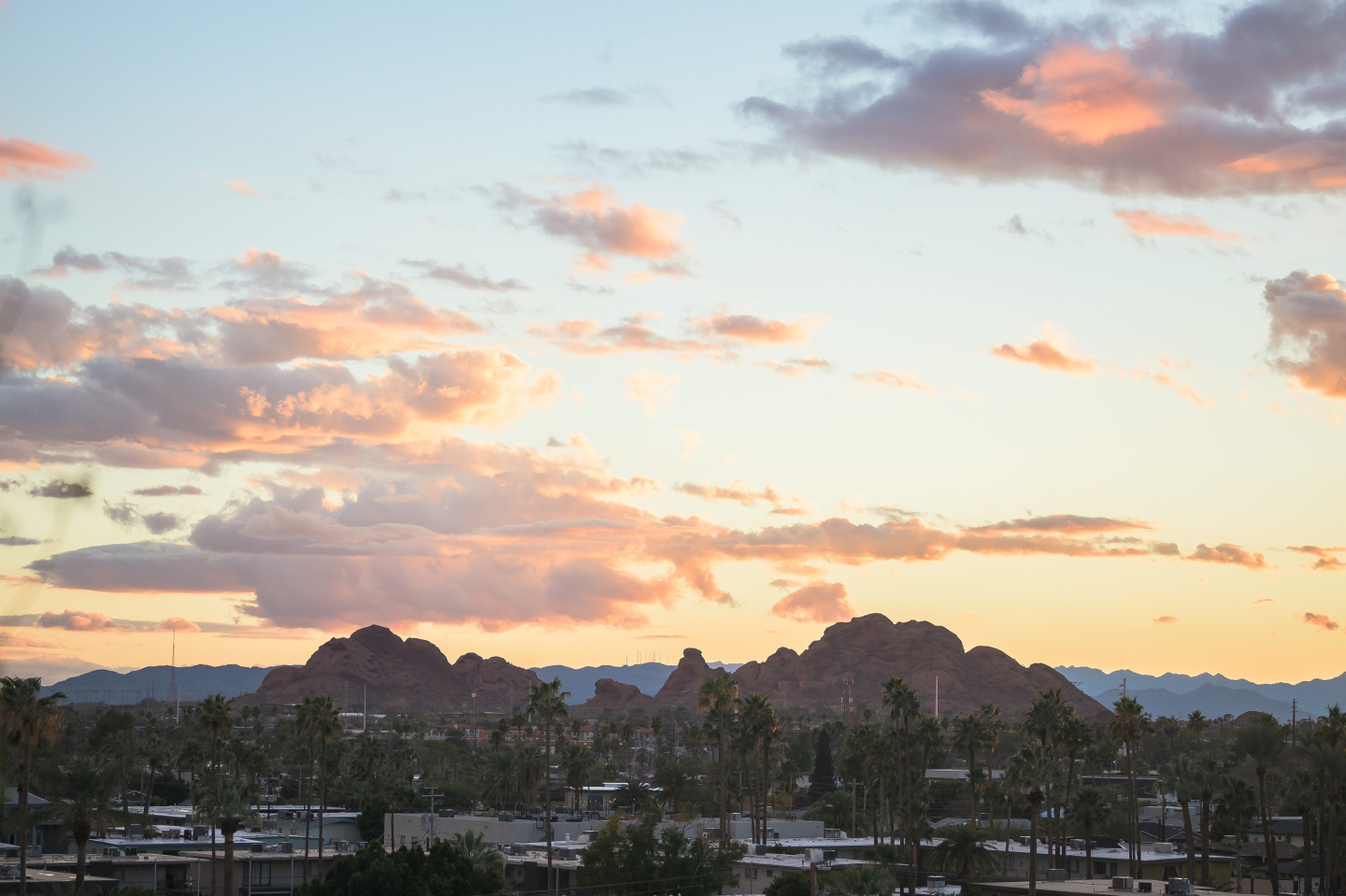 Scottsdale on Main Image 34
