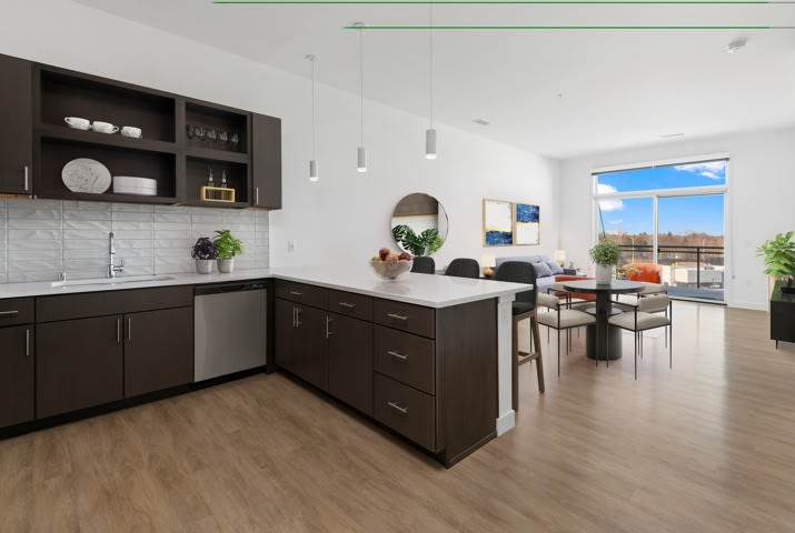 The Lydell Luxury Living Image 6