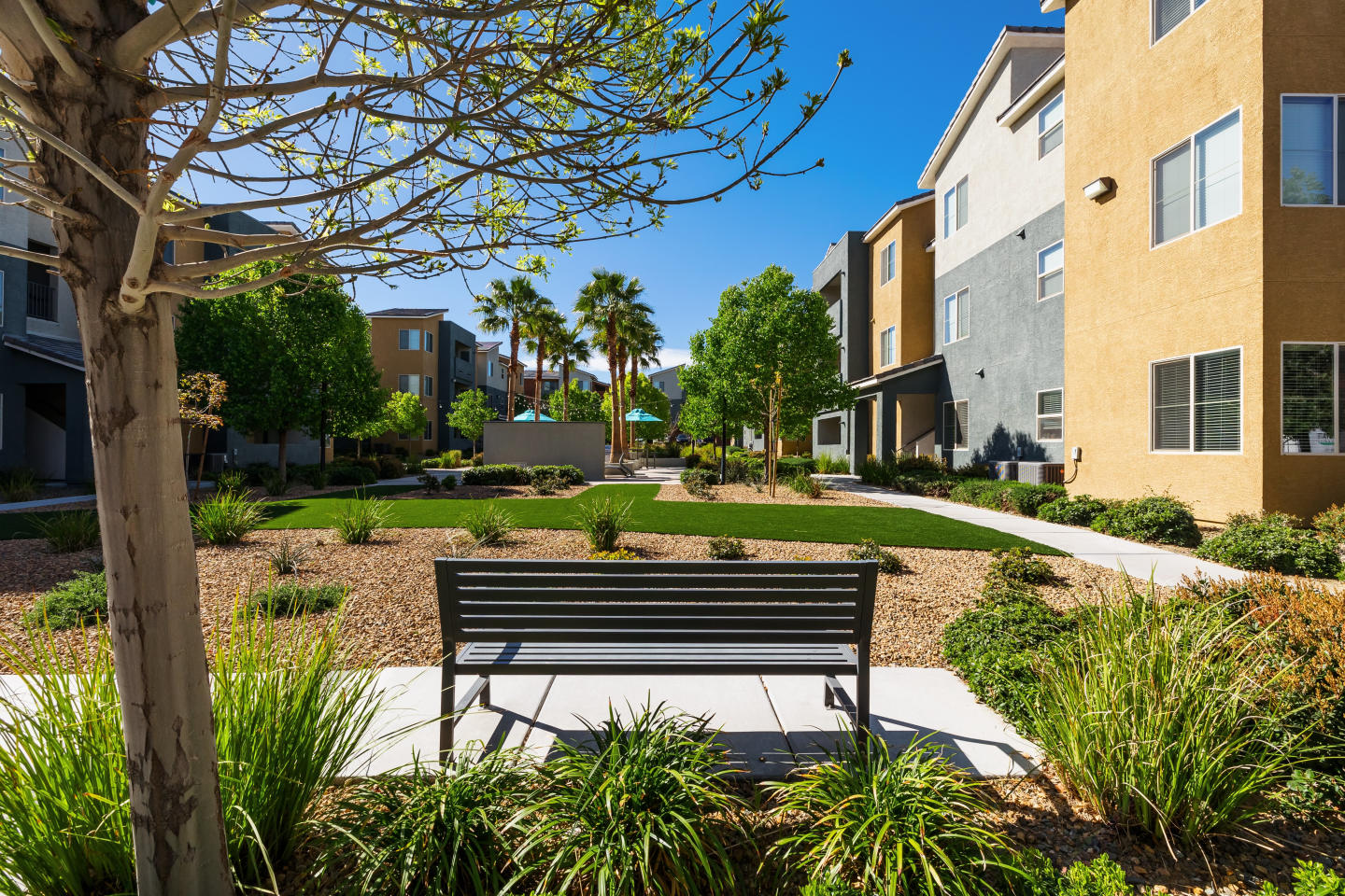 Solana Image 26