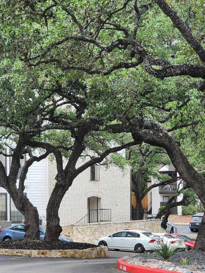 Deer Oaks Image 5