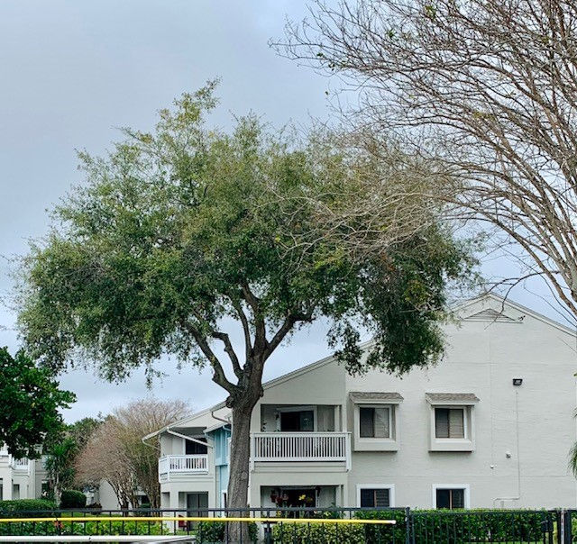 Lakeshore at Altamonte Springs Image 10