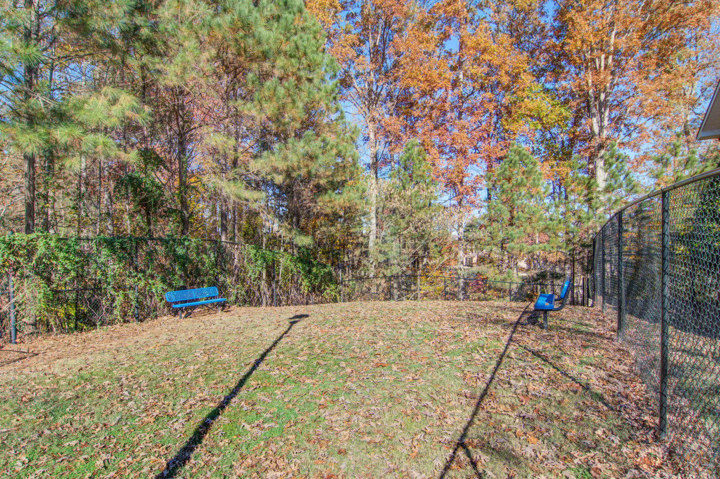Ashford at Springlake Image 18