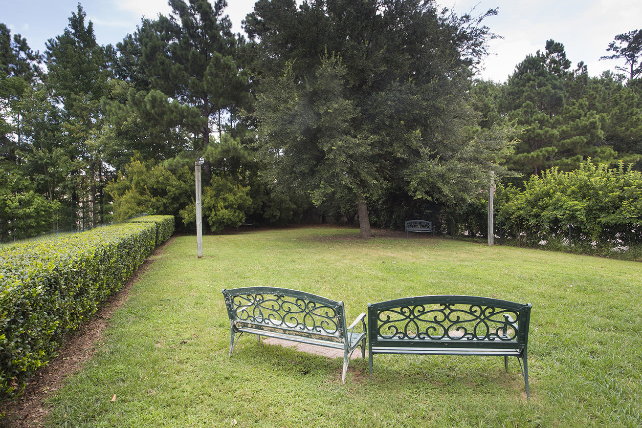 Botanica Image 10