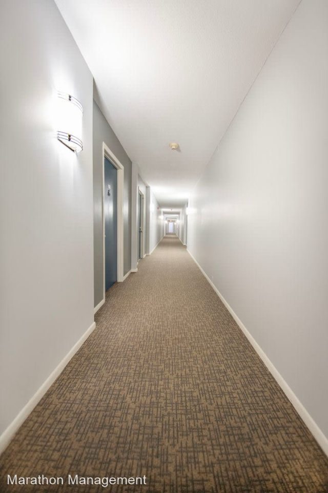 The Wellington Apartments Image 15