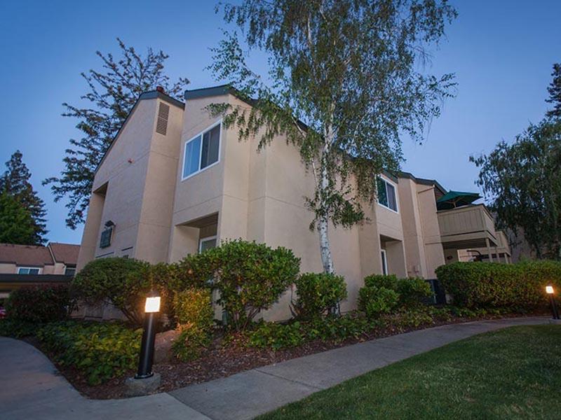 Juniper Apartments Image 19