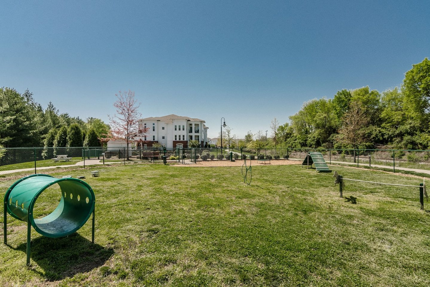 The Everly at Historic Franklin Image 28