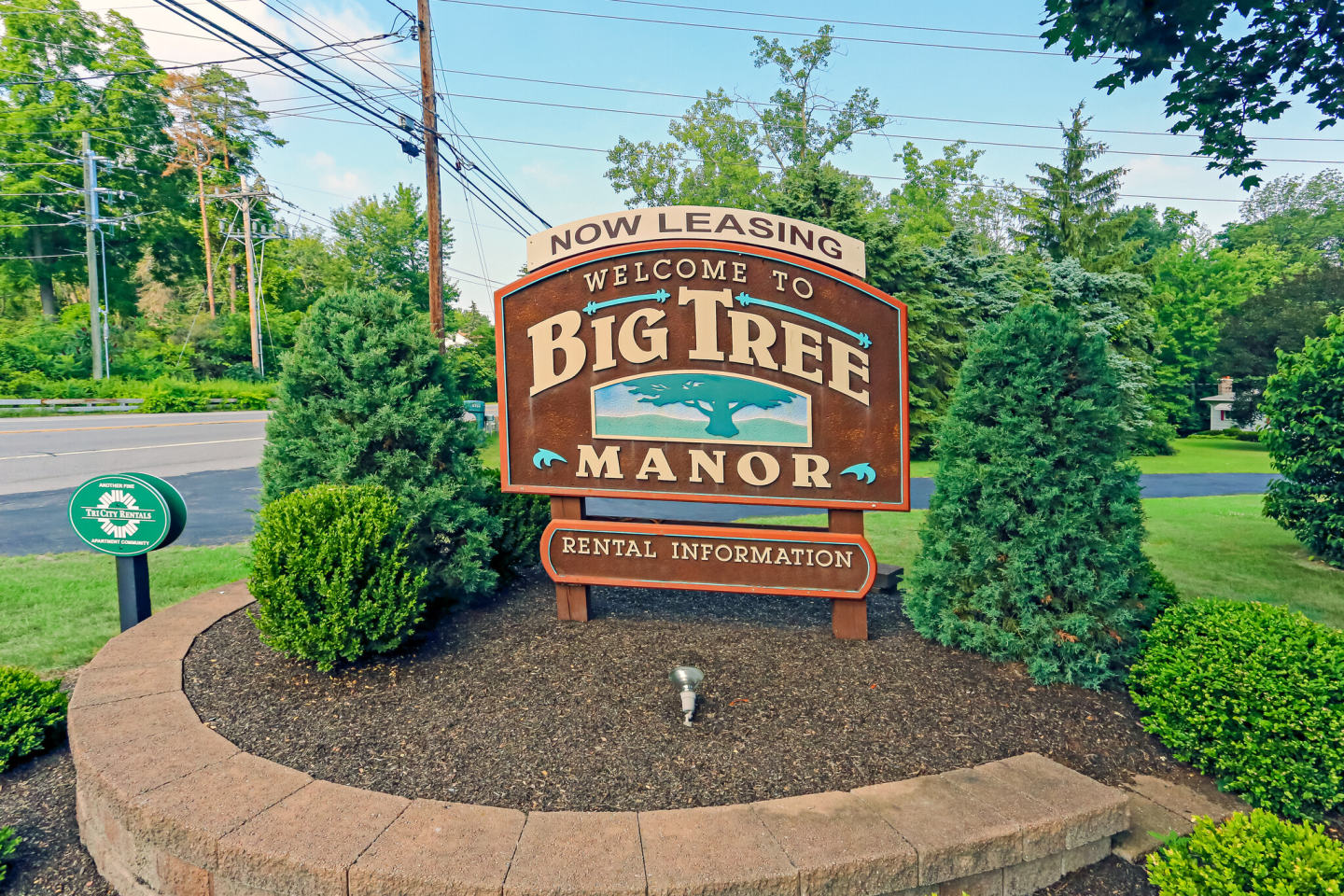 Big Tree Manor Image 7