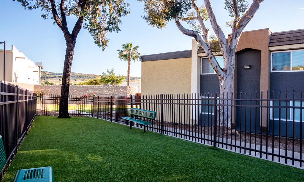 Summerlyn Apartments Image 16