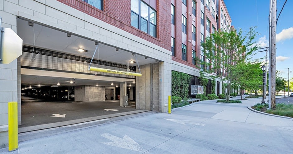 Olive & Wooster Image 69