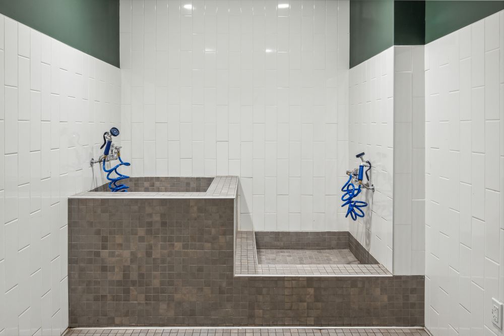 MV Apartments Image 34